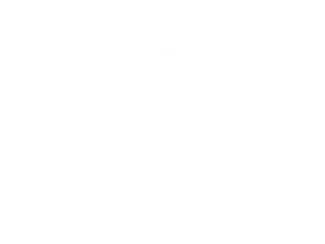 client logo 17
