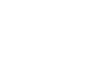 client logo 20